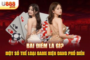 Bài Điểm Là Gì? Một Số Thể Loại Game Hiện Đang Phổ Biến