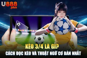 Kèo 3/4 Là Gì? Cách Đọc Kèo Và Thuật Ngữ Cơ Bản Nhất